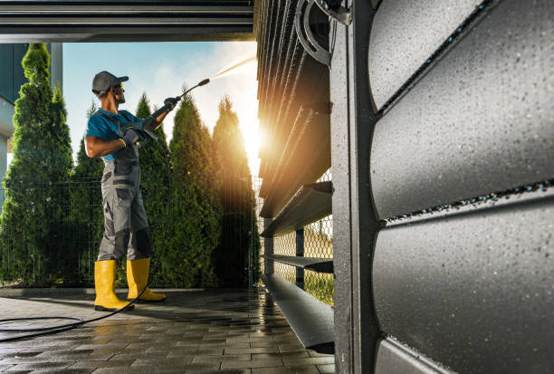Best Residential Exterior Washing  in Mesilla, NM
